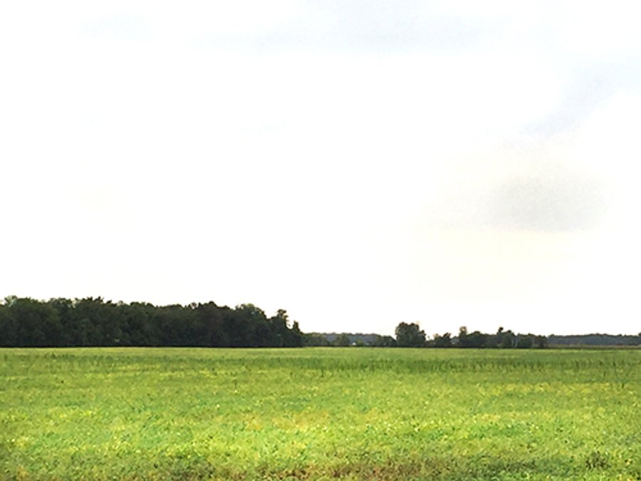 FARMLAND AUCTION - 193+/- ACRES IN 3 TRACTS IN CLARK COUNTY